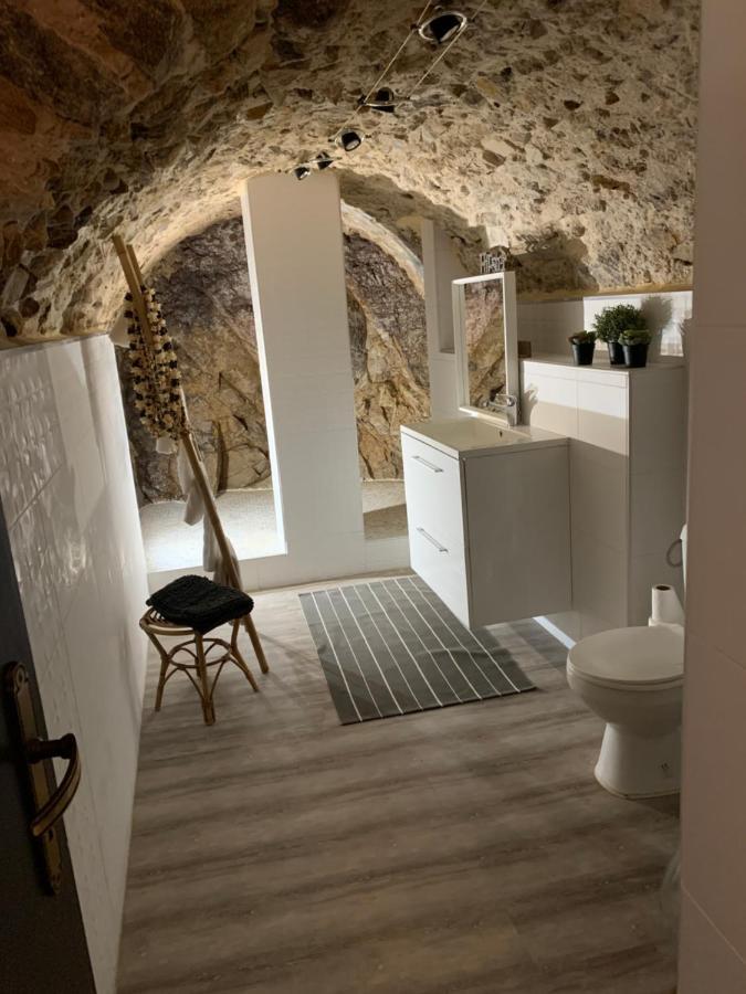 Appartement Cosy Le Balloon Avec Wifi Annonay Kültér fotó