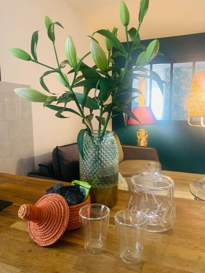 Appartement Cosy Le Balloon Avec Wifi Annonay Kültér fotó